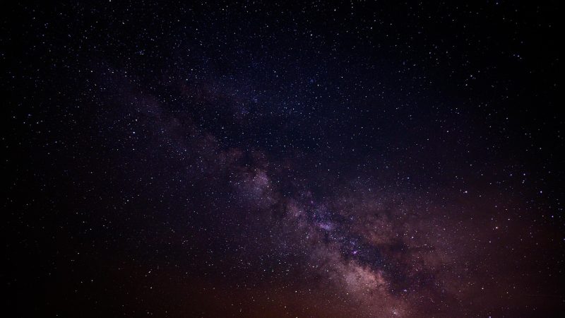 星露谷wiki精选内容：最近值得先看的几篇
