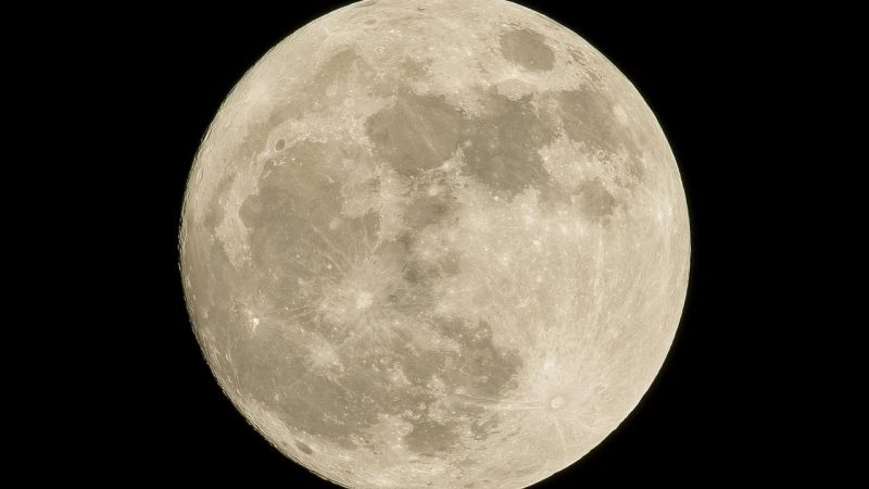 星露谷wiki进阶清单:从入门到熟练的四级通关路